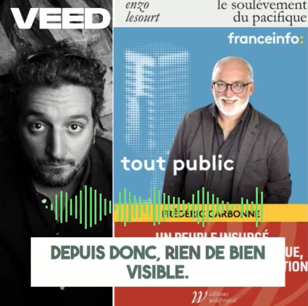 Enzo Lesourt consultant straégie publique communication plaidoyer bretagne soulèvement du Pacifique WildProject
